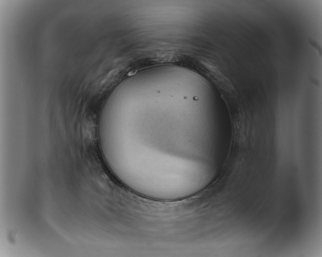 X0000101660035200807241427