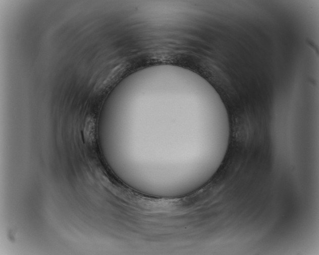 X0000101660036200807241427