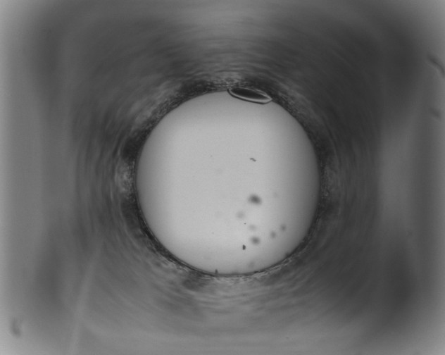 X0000101660037200807241427