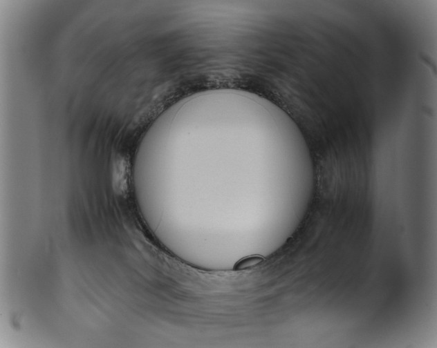 X0000101660038200807241427