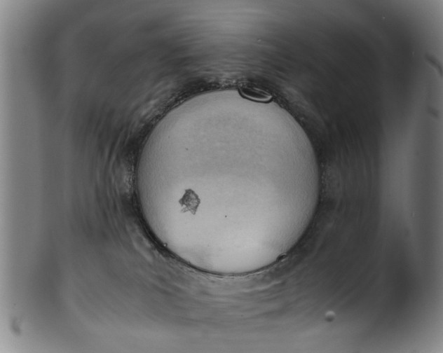 X0000101660039200807241427