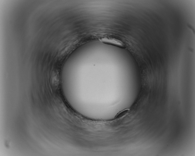 X0000101660040200807241427