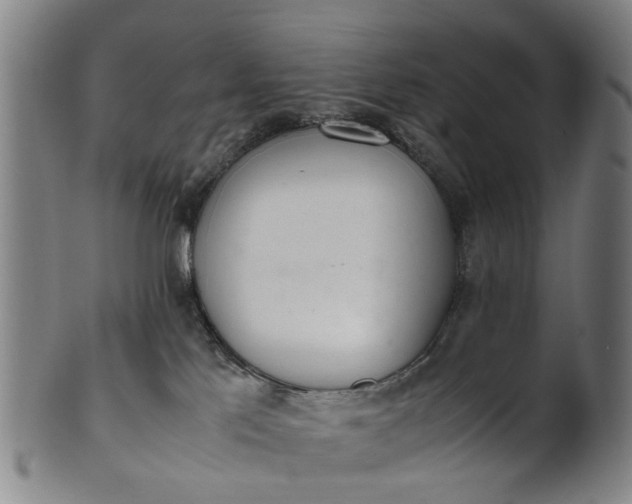 X0000101660041200807241427