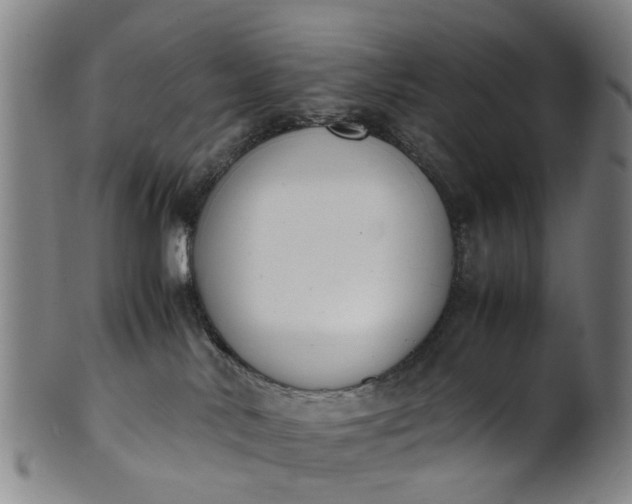 X0000101660042200807241427