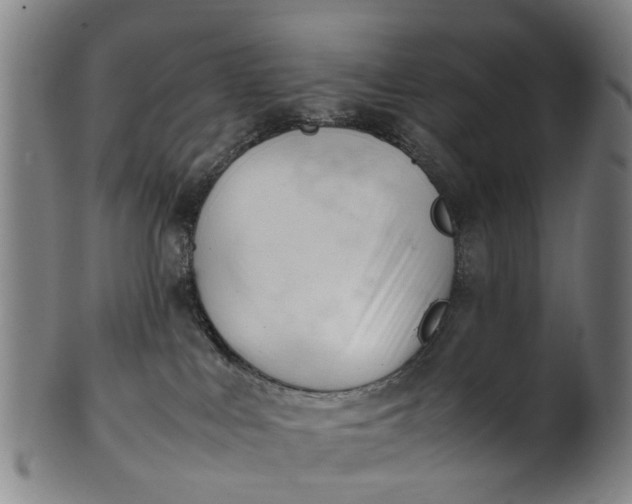 X0000101660043200807241427