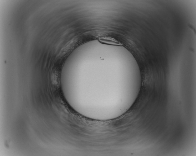 X0000101660044200807241427