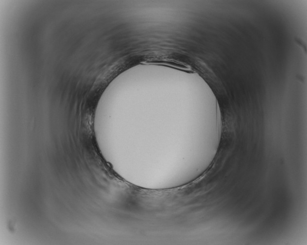 X0000101660045200807241427