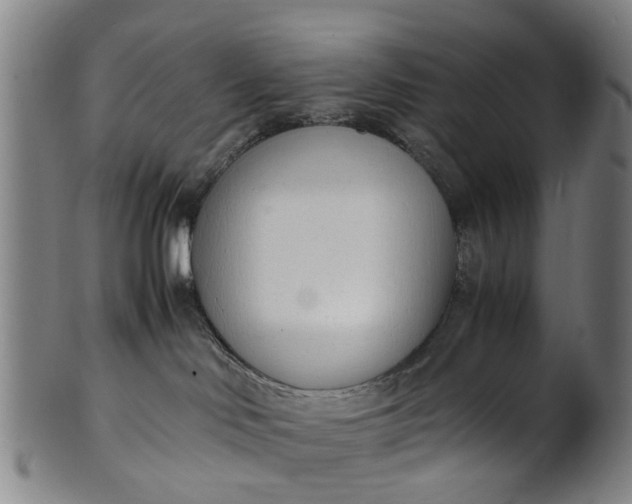 X0000101660046200807241427