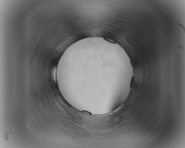 X0000101660047200807241427