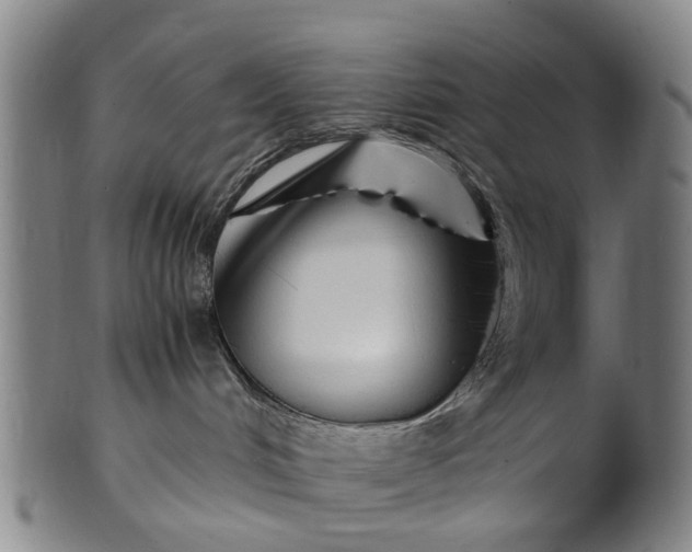 X0000101660048200807241427