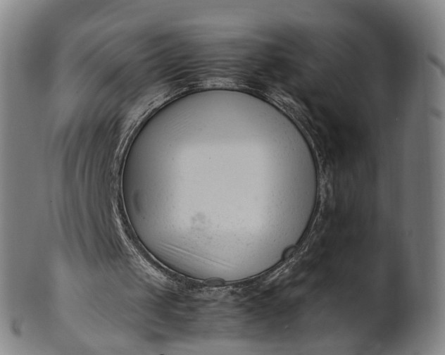 X0000101660049200807241426