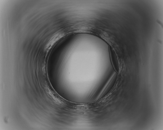 X0000101660050200807241426