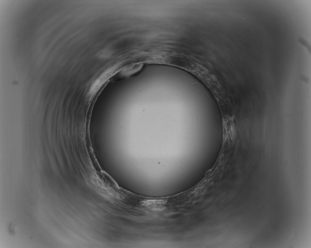 X0000101660051200807241426