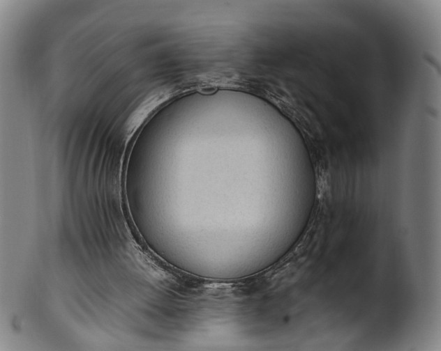 X0000101660052200807241427