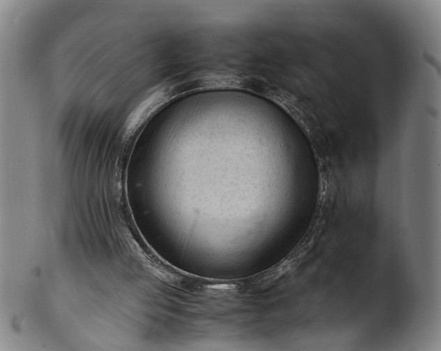 X0000101660053200807241427