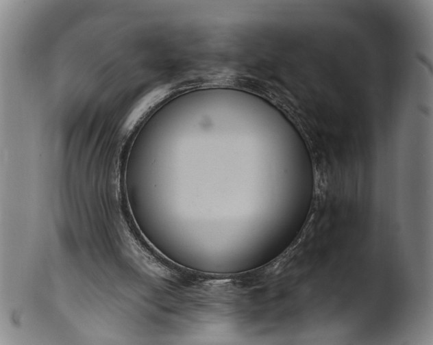 X0000101660054200807241427