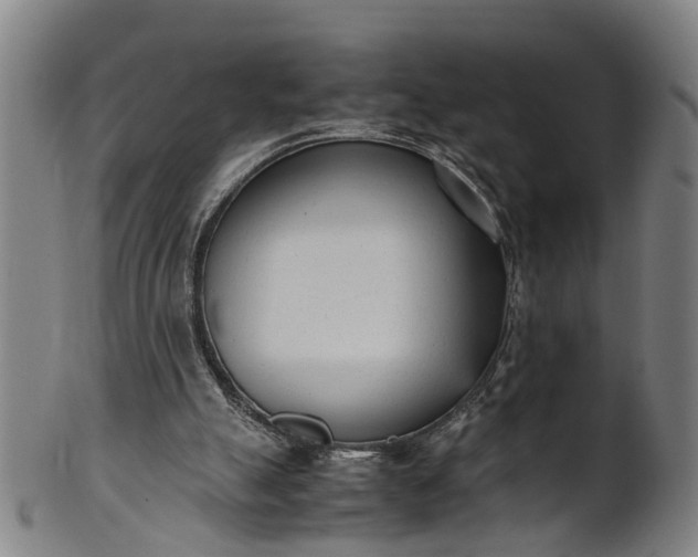 X0000101660055200807241427