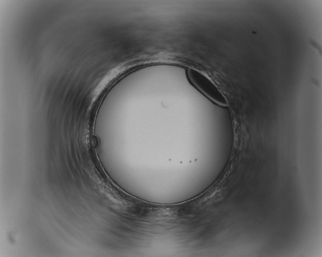 X0000101660056200807241427