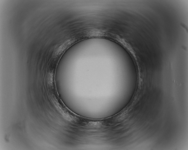 X0000101660057200807241427