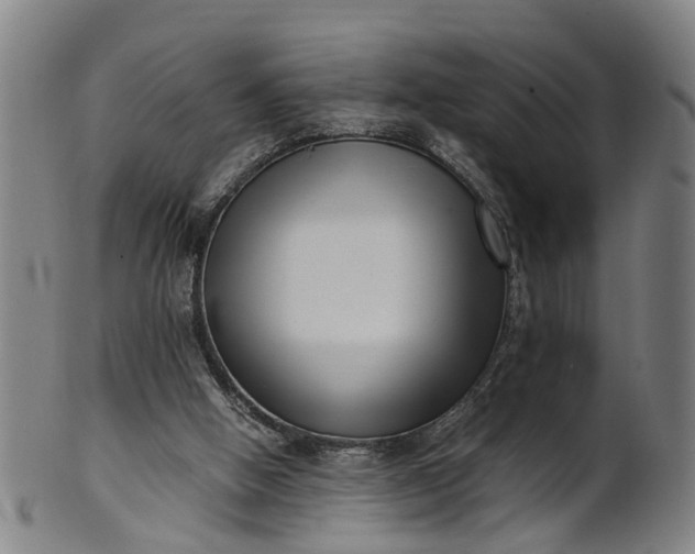 X0000101660058200807241427