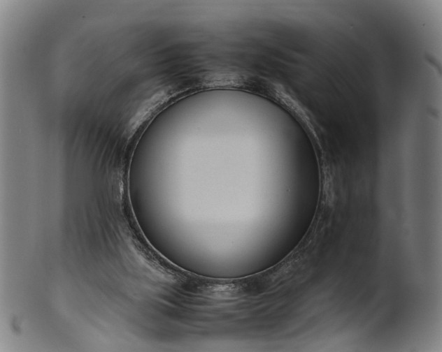 X0000101660059200807241427