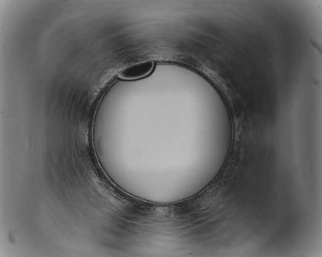 X0000101660060200807241427