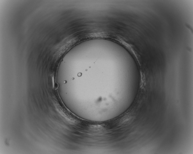 X0000101660061200807241427