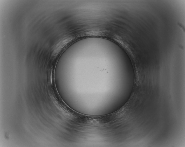 X0000101660062200807241427