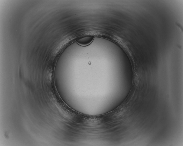 X0000101660063200807241427