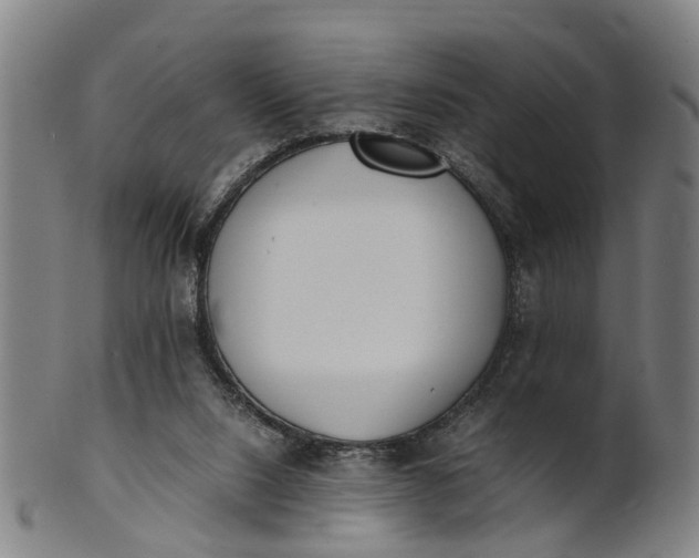 X0000101660064200807241427