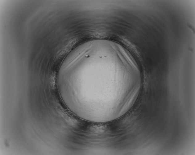 X0000101660065200807241427