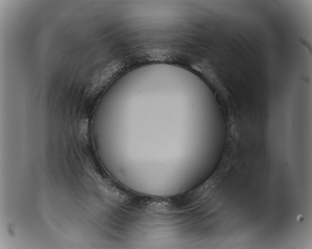 X0000101660066200807241427