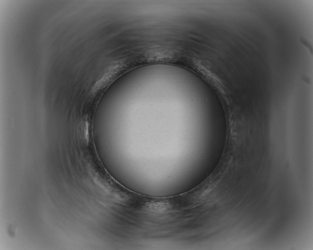 X0000101660067200807241427