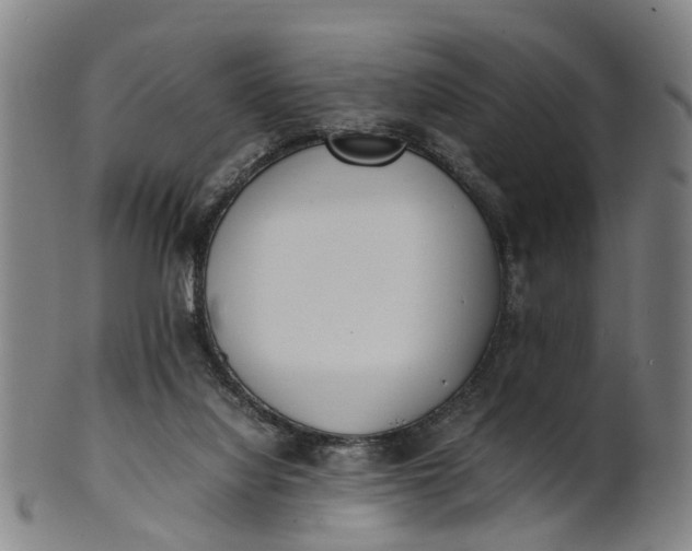 X0000101660068200807241427