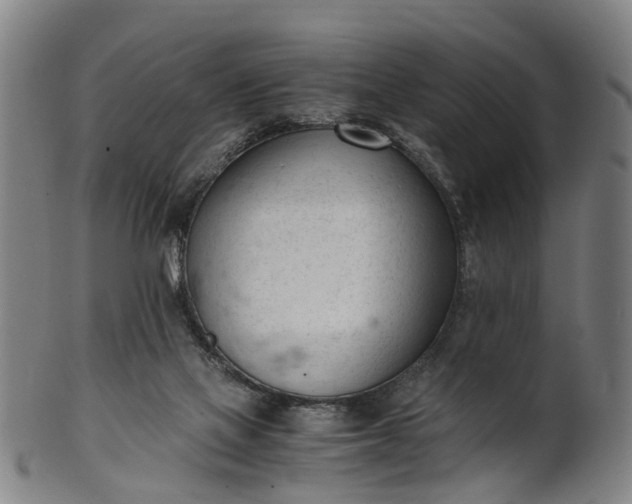 X0000101660069200807241427