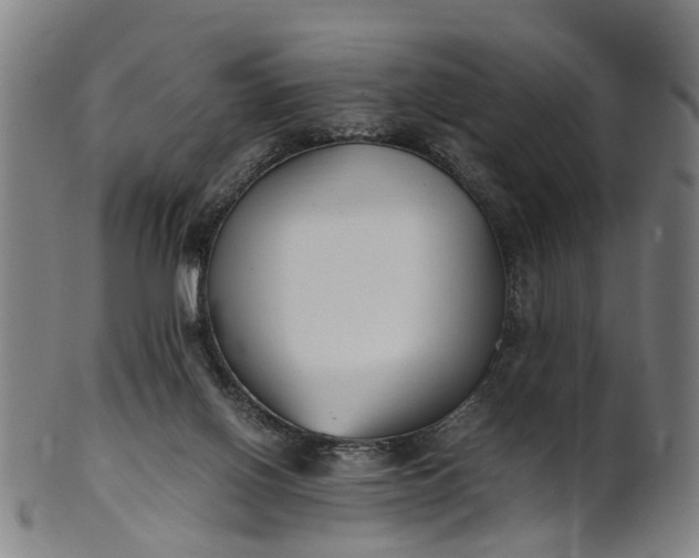 X0000101660070200807241427