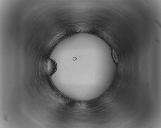 X0000101660071200807241427