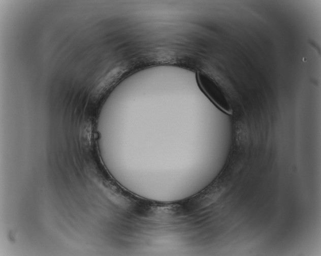 X0000101660072200807241427