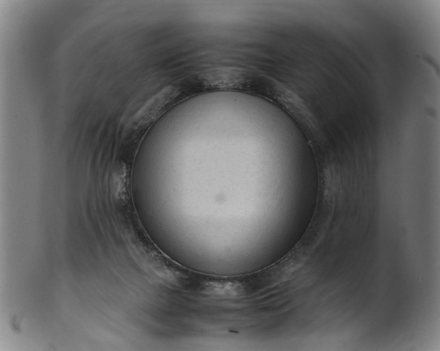 X0000101660073200807241427