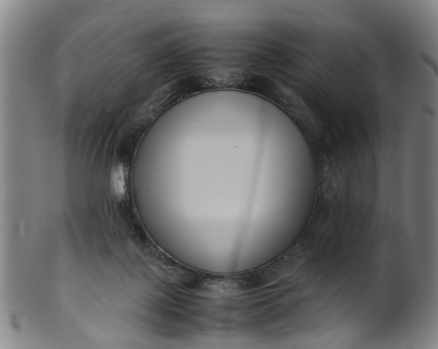 X0000101660075200807241427