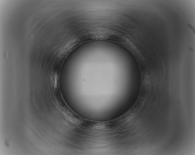 X0000101660076200807241427