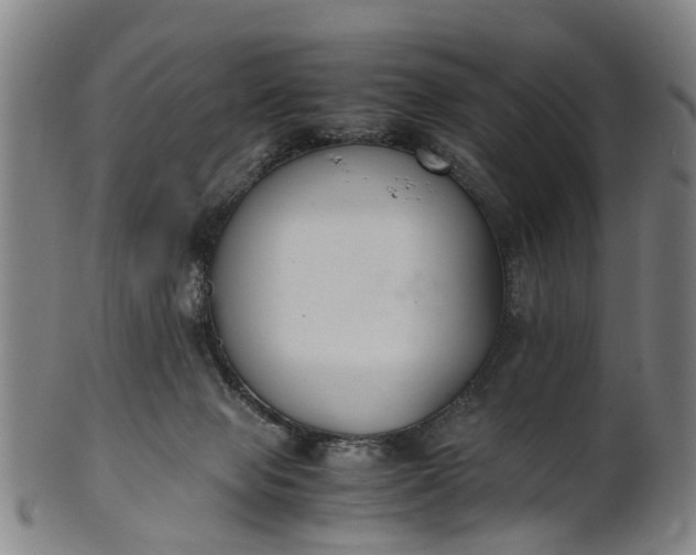 X0000101660077200807241427