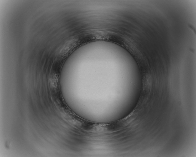 X0000101660078200807241427