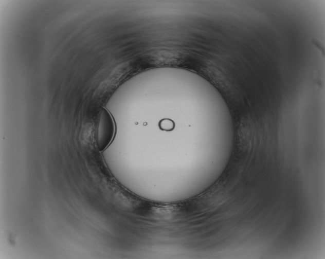 X0000101660079200807241427