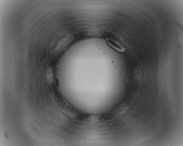 X0000101660080200807241427