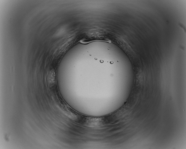 X0000101660081200807241427