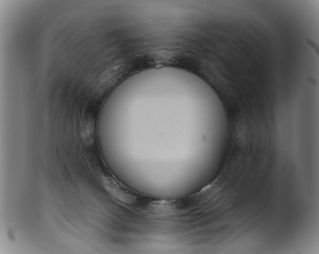 X0000101660082200807241427