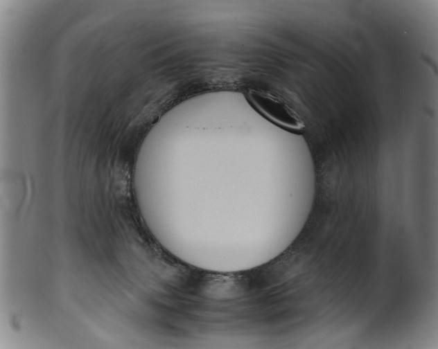 X0000101660083200807241427