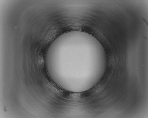 X0000101660084200807241427