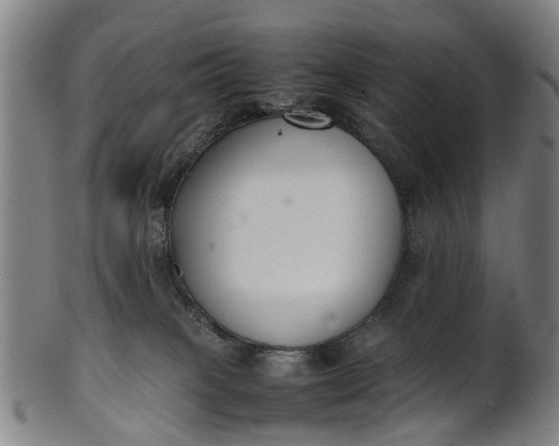 X0000101660085200807241427